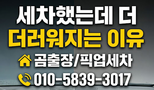 곰출장 픽업세차 디테일링 본점에서 분석한 가죽 시트 코팅 및 에센스 관리의 중요성